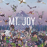 MT. JOY – REARRANGE US