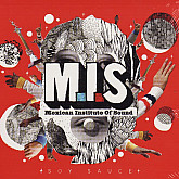 MEXICAN INSTITUTE OF SOUND &...