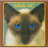 blink cat